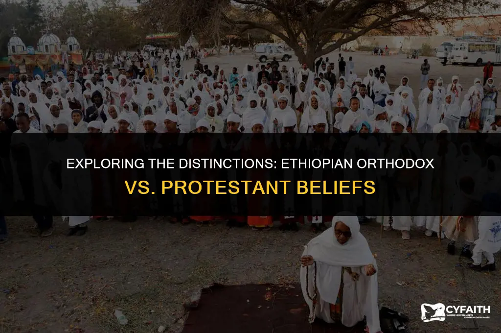 what is the difference between ethiopian orthodox and protestant
