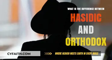 Hasidic vs. Orthodox Judaism: Key Differences Explained Simply