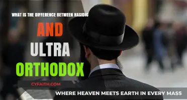 Hasidic vs. Ultra-Orthodox: Unraveling the Distinct Jewish Observance Practices