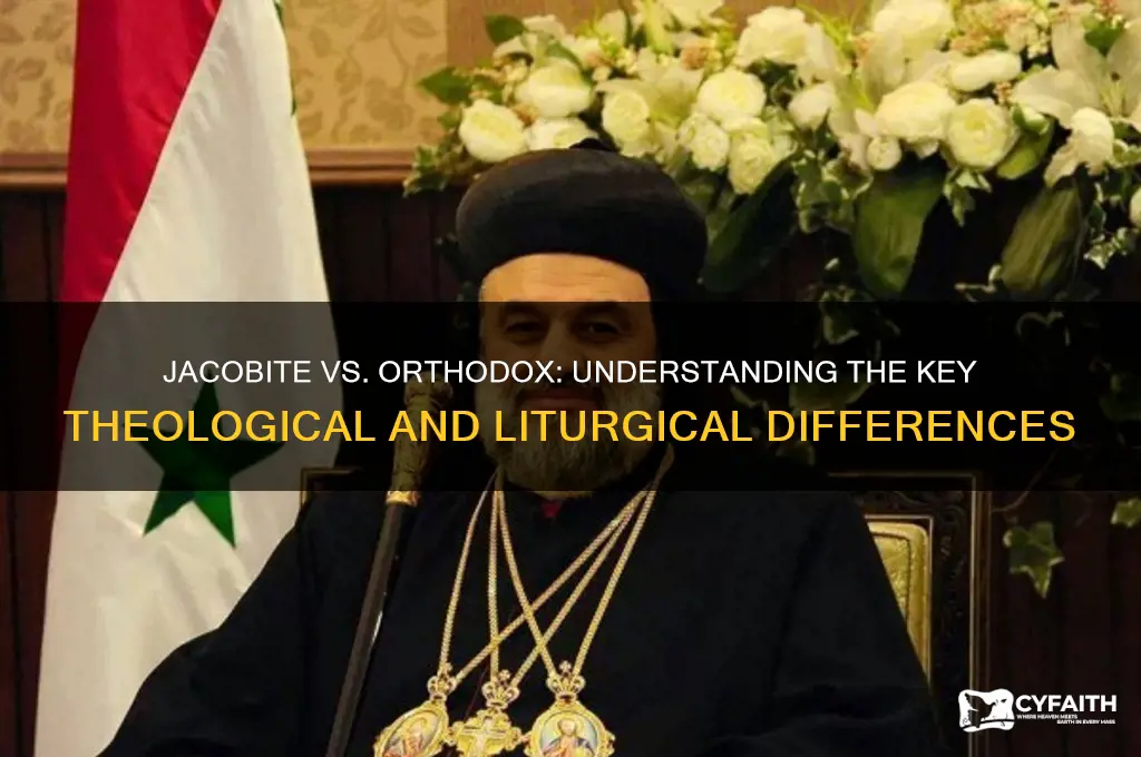 what is the difference between jacobite and orthodox