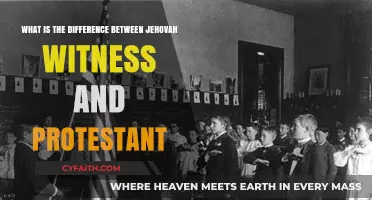 Exploring the Theological Distinctions: Jehovah's Witnesses vs. Protestants
