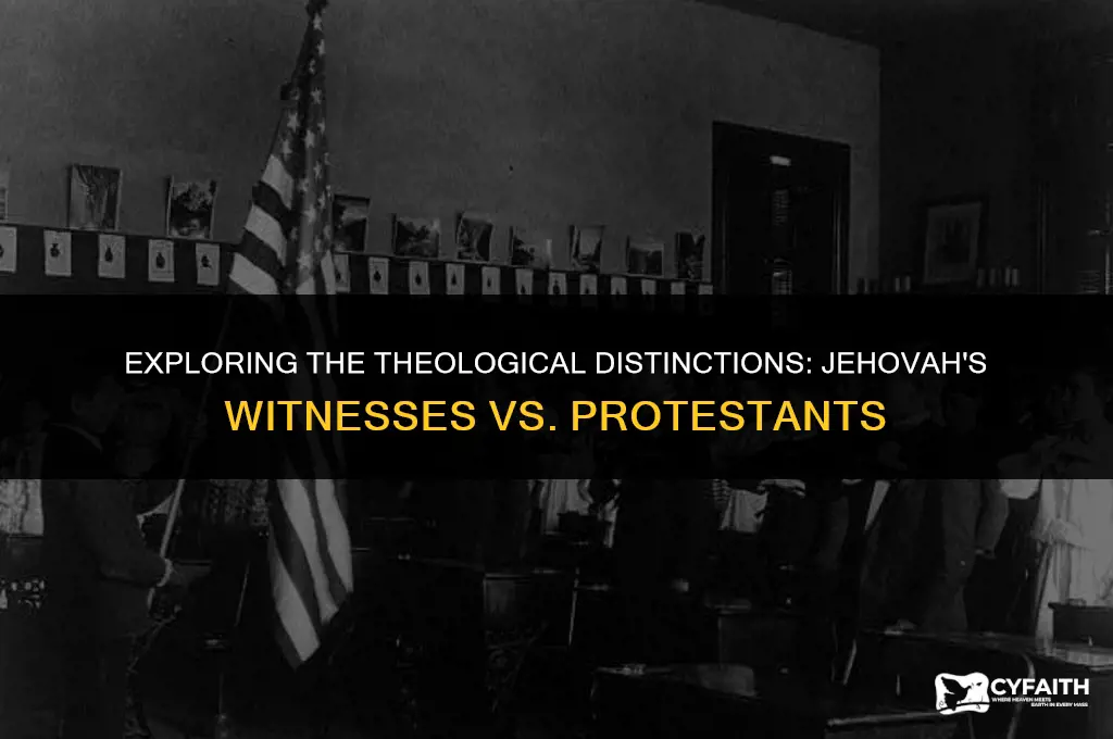 what is the difference between jehovah witness and protestant