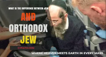 Understanding the Distinction: Jews vs. Orthodox Jews Explained