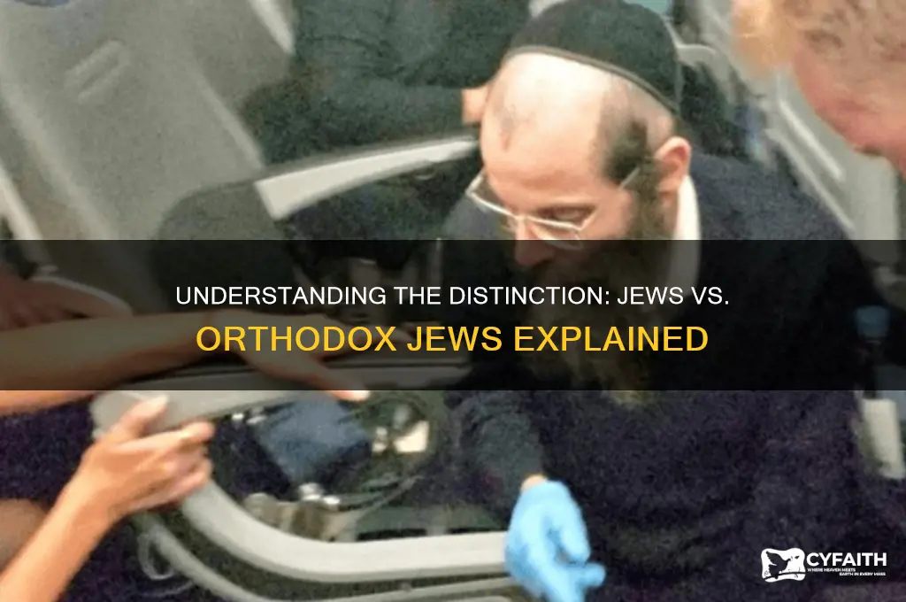 what is the difference between jew and orthodox jew