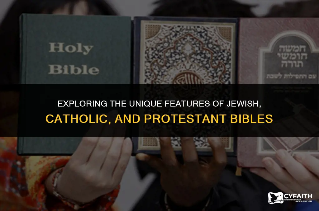 what is the difference between jewish catholic and protestant bibles