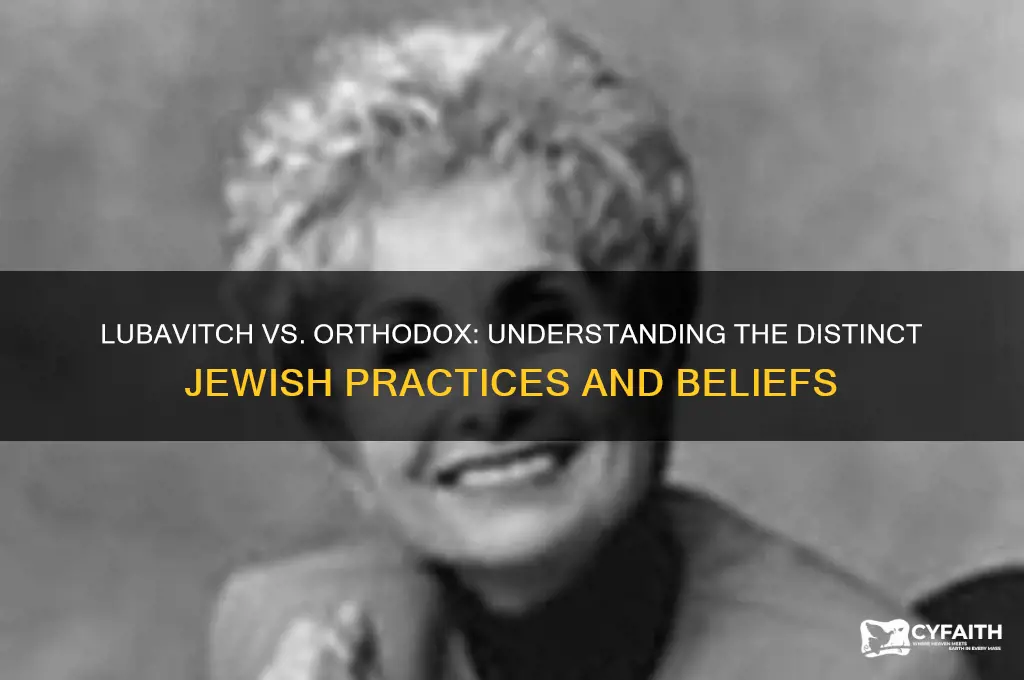 what is the difference between lubavitch and orthodox
