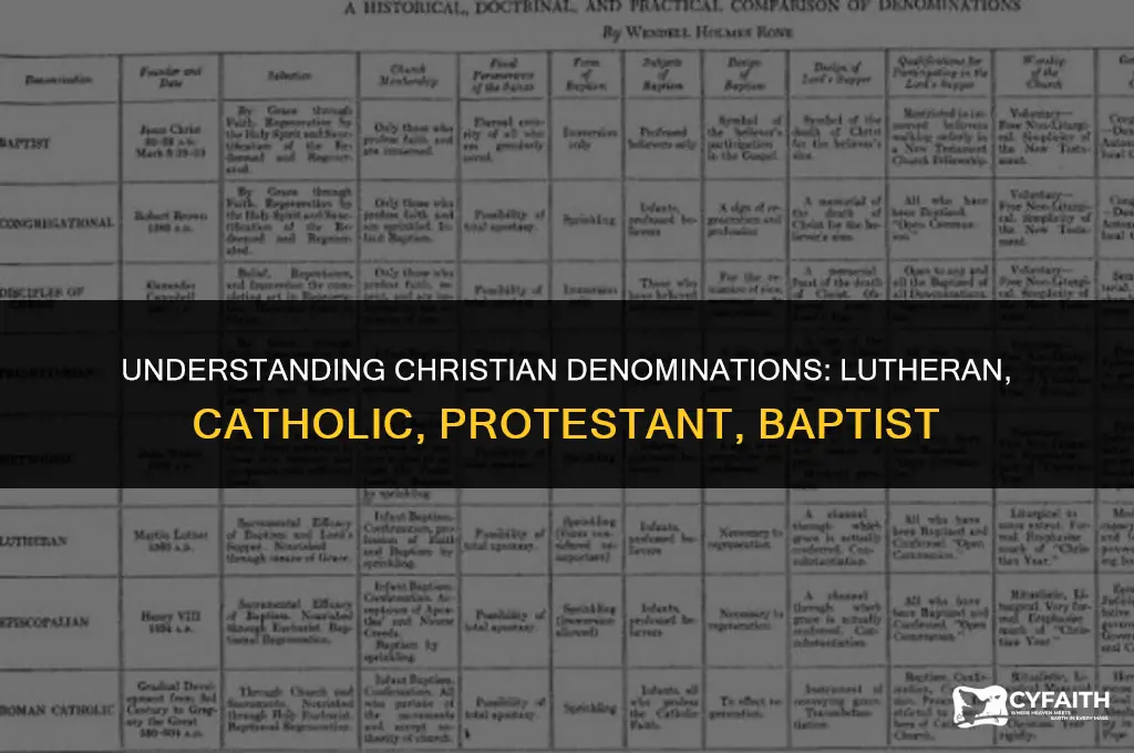 what is the difference between lutheran catholic protestant and baptist