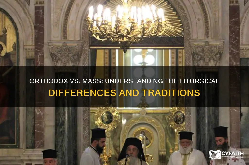 what is the difference between mass and orthodox mass