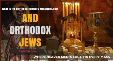 Messianic vs. Orthodox Judaism: Key Beliefs and Practices Compared