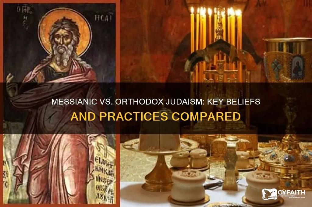 what is the difference between messianic jews and orthodox jews