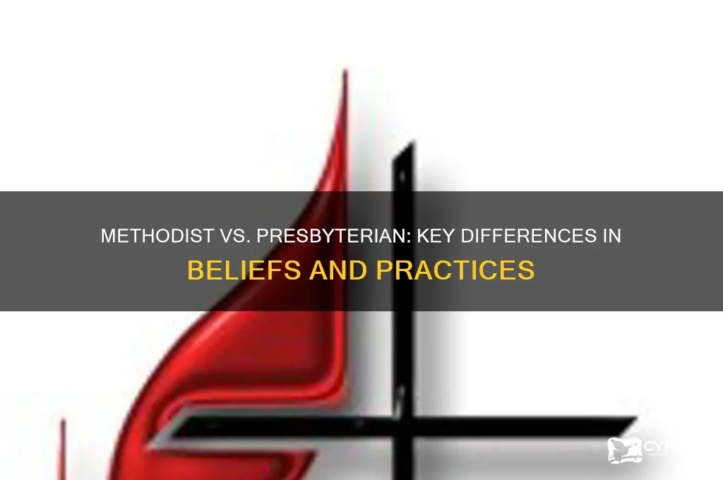 what is the difference between methodist and presbyterian church