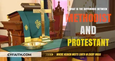 Exploring the Theological Distinctions: Methodist vs. Protestant