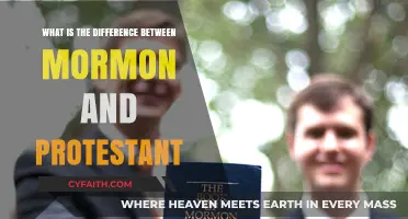 Exploring the Theological Distinctions: Mormon vs. Protestant Beliefs