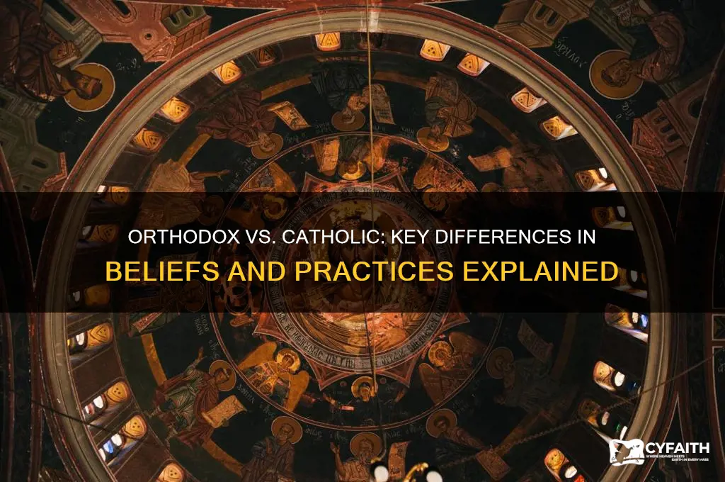 what is the difference between orthodox and cathlic church