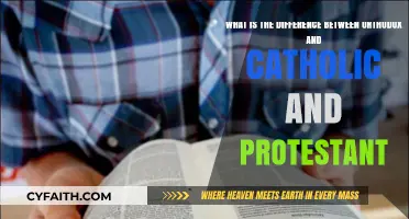 Orthodox, Catholic, Protestant: Key Theological and Practical Differences Explained