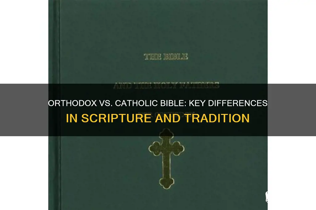 what is the difference between orthodox and catholic bible