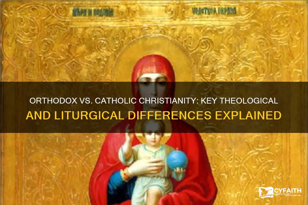 what is the difference between orthodox and catholic christianity