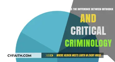 Orthodox vs. Critical Criminology: Key Differences and Theoretical Approaches
