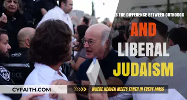Orthodox vs. Liberal Judaism: Key Beliefs, Practices, and Differences Explained