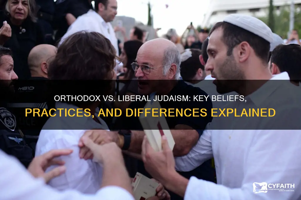 what is the difference between orthodox and liberal judaism