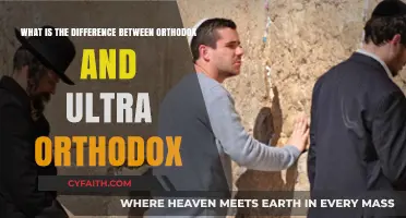 Orthodox vs. Ultra-Orthodox: Understanding Jewish Observance and Lifestyle Differences
