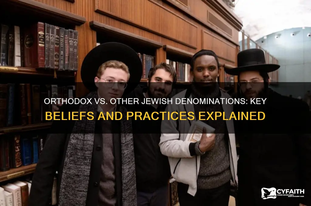 what is the difference between orthodox jews and other jews