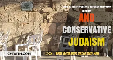 Orthodox, Reform, Conservative Judaism: Key Differences Explained Simply