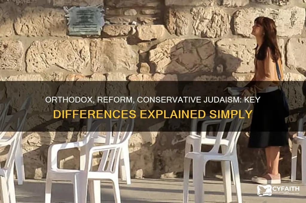 what is the difference between orthodox reform and conservative judaism
