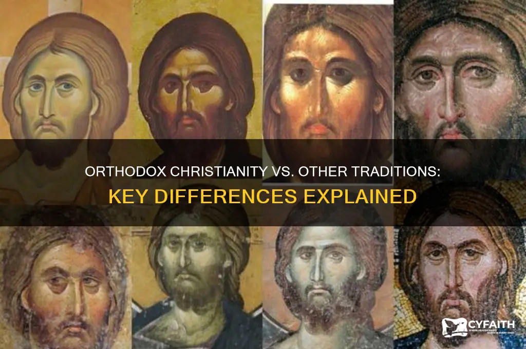 what is the difference between orthodox