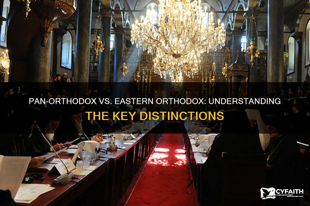 what is the difference between pan orthodox and eastern orthodox
