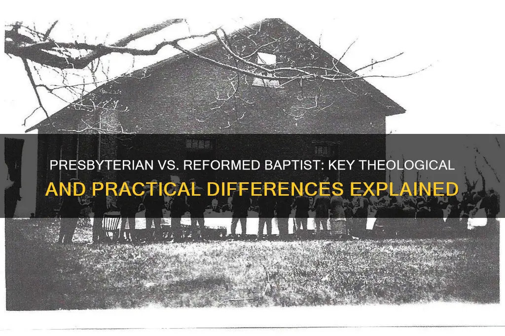 what is the difference between presbyterian and reformed baptist