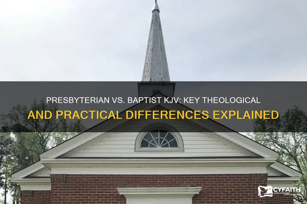 what is the difference between presbyterian beliefs and baptist kjv