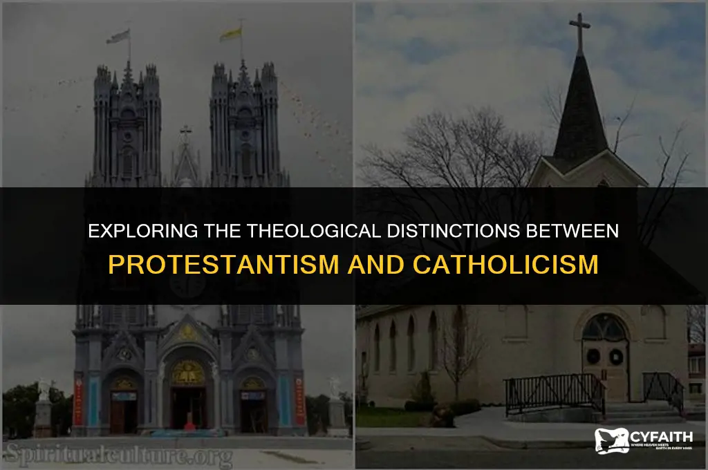 what is the difference between protestant and catholic ligonier