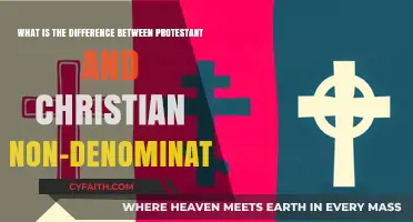 Exploring Faith: Protestant vs. Christian Non-Denominational