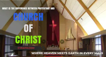 Exploring the Theological Distinctions: Protestantism vs. Church of Christ