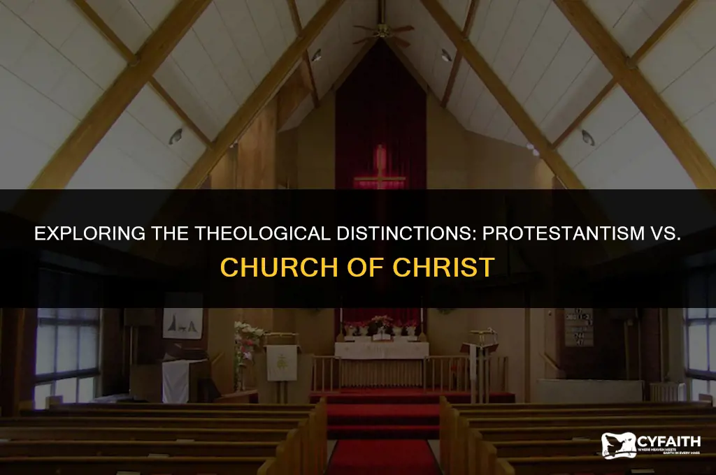 what is the difference between protestant and church of christ