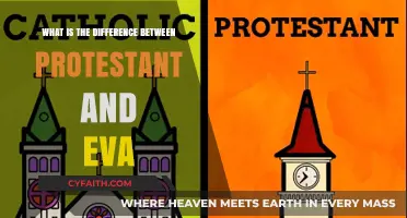 Exploring the Theological Divide: Protestantism vs. Evangelicalism