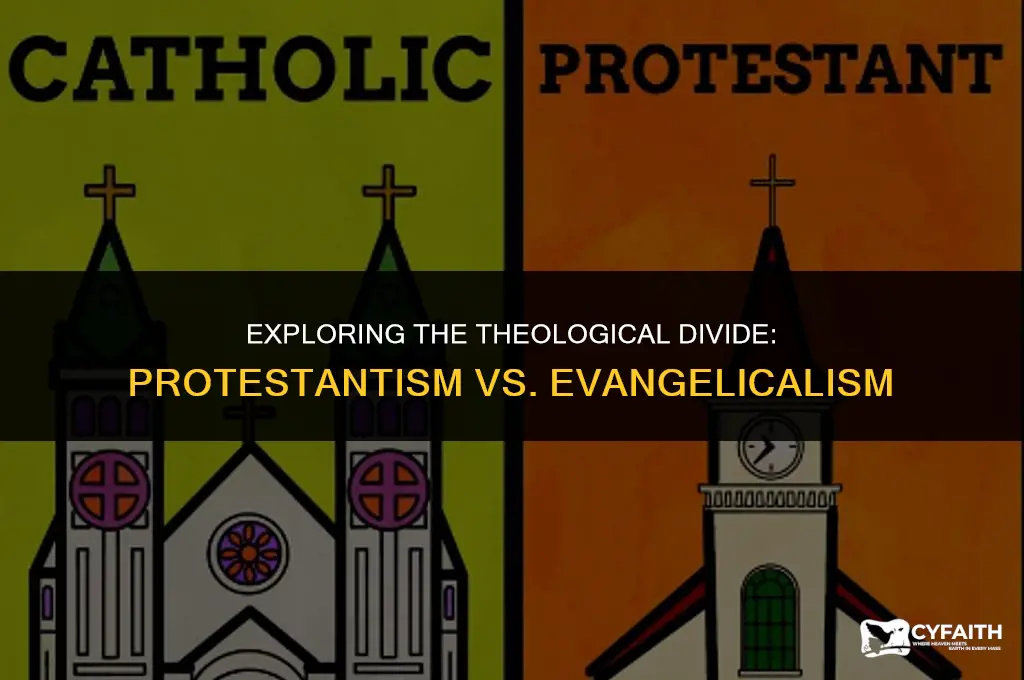 what is the difference between protestant and eva