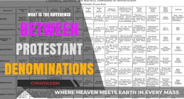 Exploring the Distinctions Among Protestant Denominations