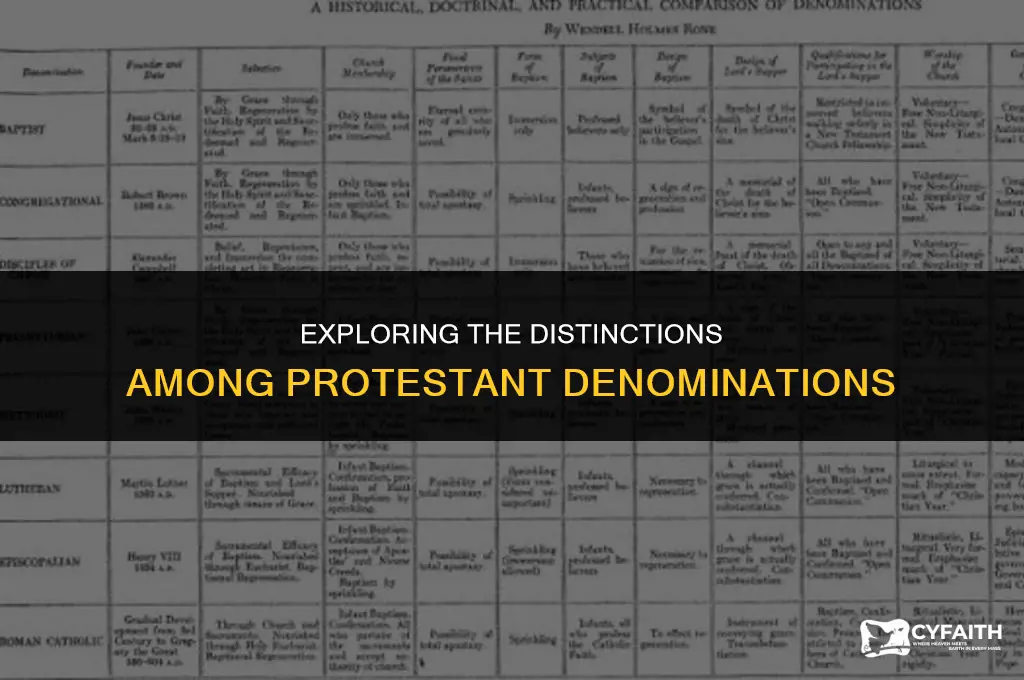 what is the difference between protestant denominations