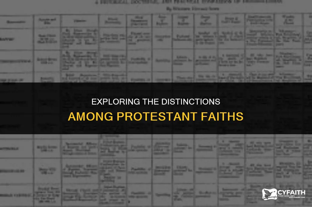 what is the difference between protestant religions