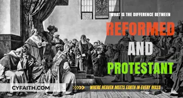 Exploring the Theological Distinctions: Reformed vs. Protestant Beliefs
