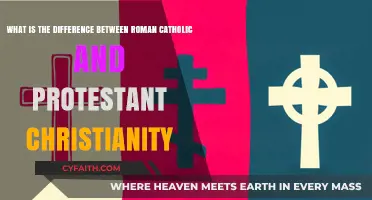 Exploring the Key Differences Between Roman Catholic and Protestant Christianity