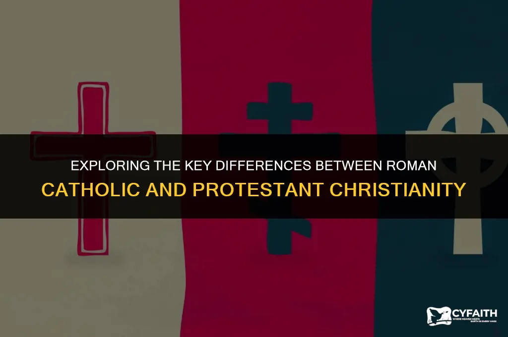 what is the difference between roman catholic and protestant christianity