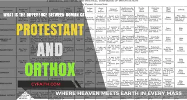 Exploring the Key Differences Between Roman Catholic, Protestant, and Orthodox Faiths