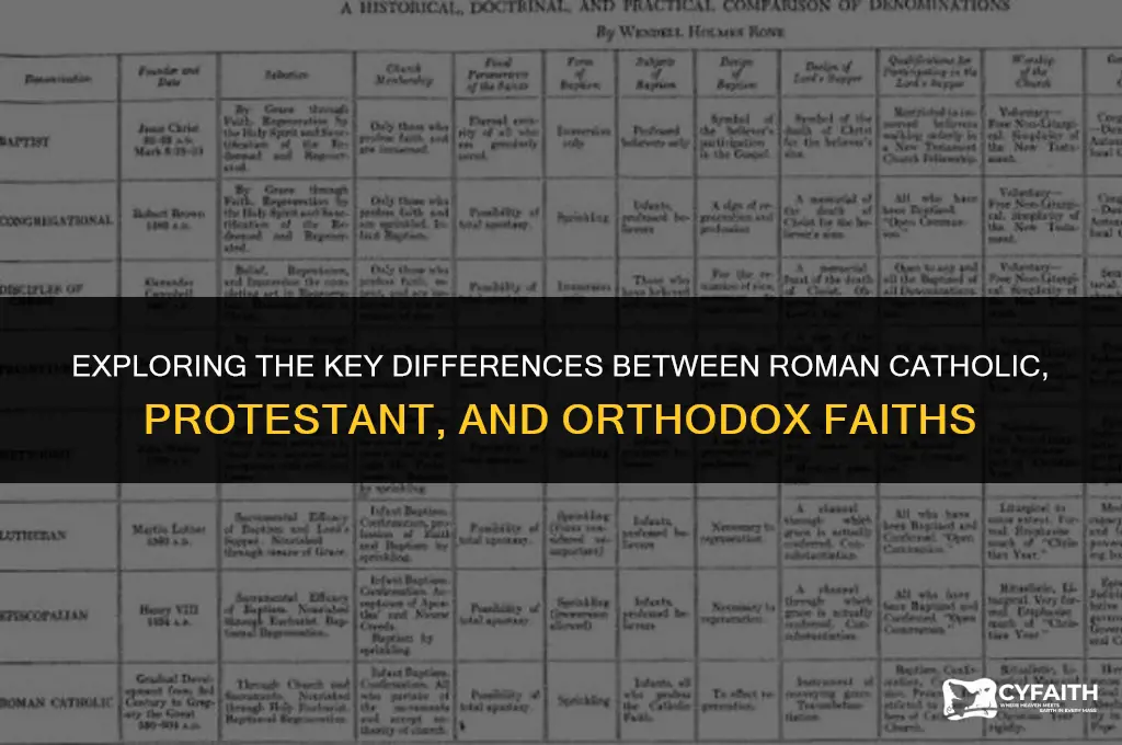 what is the difference between roman catholic protestant and orthox
