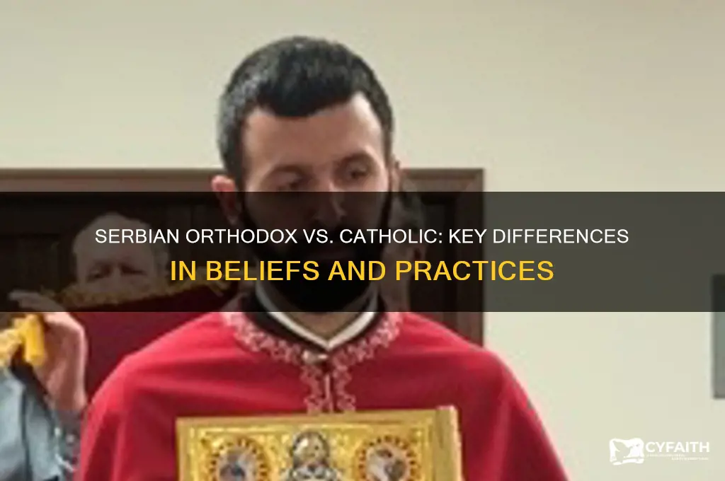 what is the difference between serbian orthodox and catholic