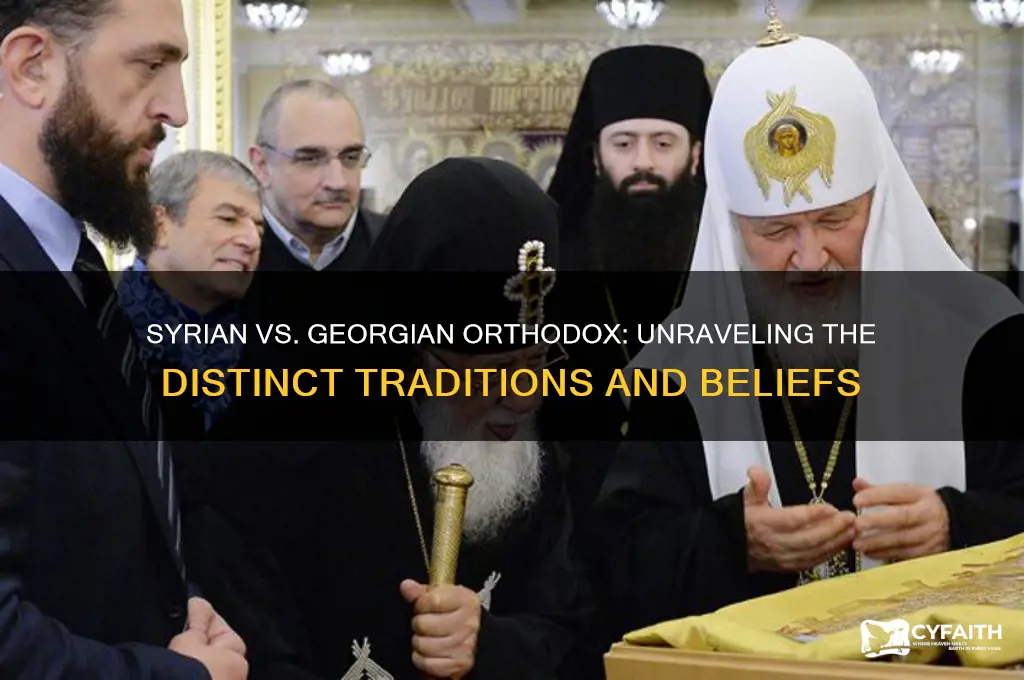 what is the difference between syrian orthodox and georgian orthodox