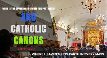 Exploring the Distinctions: Protestant vs. Catholic Canons