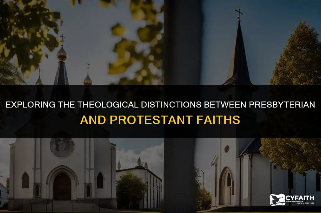 what is the difference betweepresbyteriann protestant and